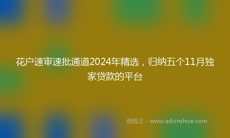 花户速审速批通道2024年精选，归纳五个11月独家贷款的平台
