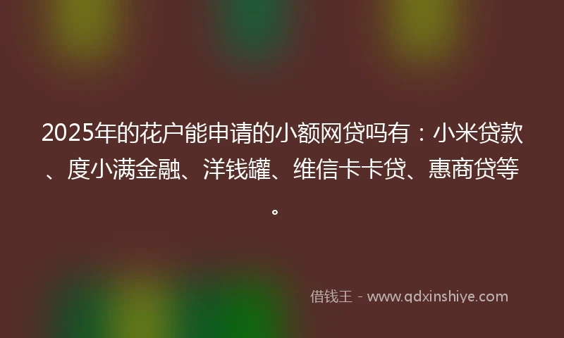 2025年的花户能申请的小额网贷吗有：小米贷款、度小满金融、洋钱罐、维信卡卡贷、惠商贷等。