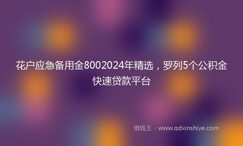 花户应急备用金8002024年精选，罗列5个公积金快速贷款平台