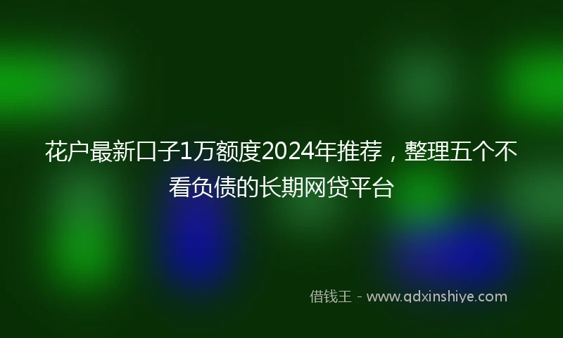 花户最新口子1万额度2024年推荐，整理五个不看负债的长期网贷平台