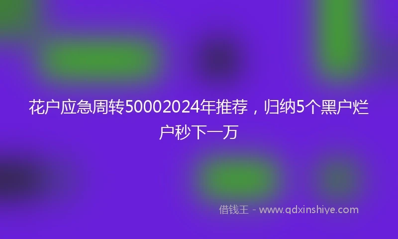 花户应急周转50002024年推荐，归纳5个黑户烂户秒下一万