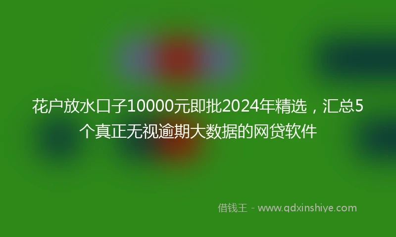 花户放水口子10000元即批2024年精选，汇总5个真正无视逾期大数据的网贷软件