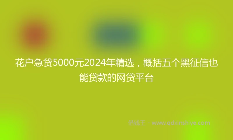 花户急贷5000元2024年精选，概括五个黑征信也能贷款的网贷平台