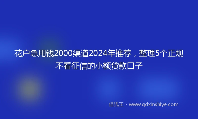 花户急用钱2000渠道2024年推荐,整理5个正规不看征信的小额贷款口子