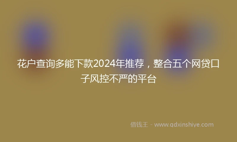 花户查询多能下款2024年推荐，整合五个网贷口子风控不严的平台