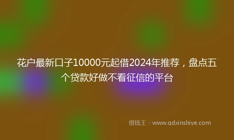 花户最新口子10000元起借2024年推荐，盘点五个贷款好做不看征信的平台