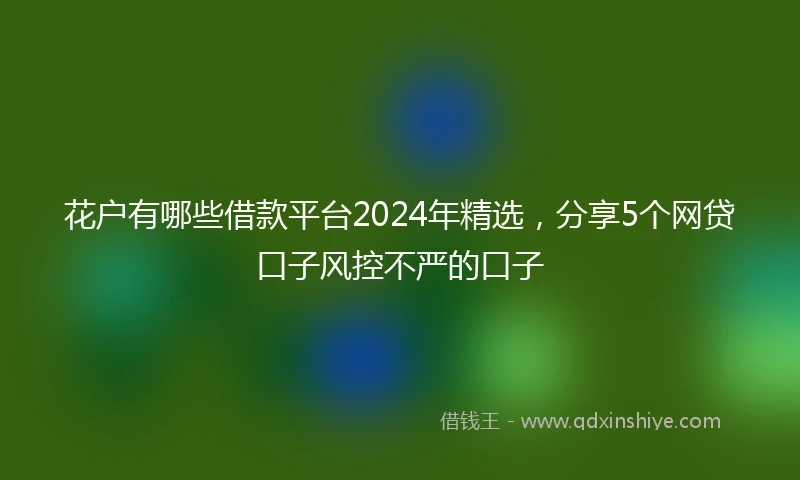 花户有哪些借款平台2024年精选，分享5个网贷口子风控不严的口子