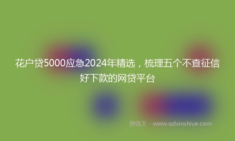 花户贷5000应急2024年精选，梳理五个不查征信好下款的网贷平台