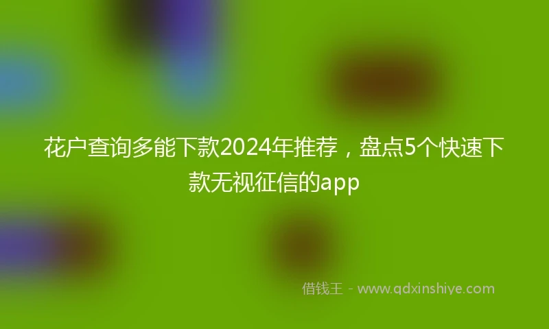 花户查询多能下款2024年推荐，盘点5个快速下款无视征信的app