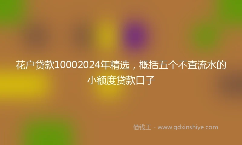 花户贷款10002024年精选，概括五个不查流水的小额度贷款口子