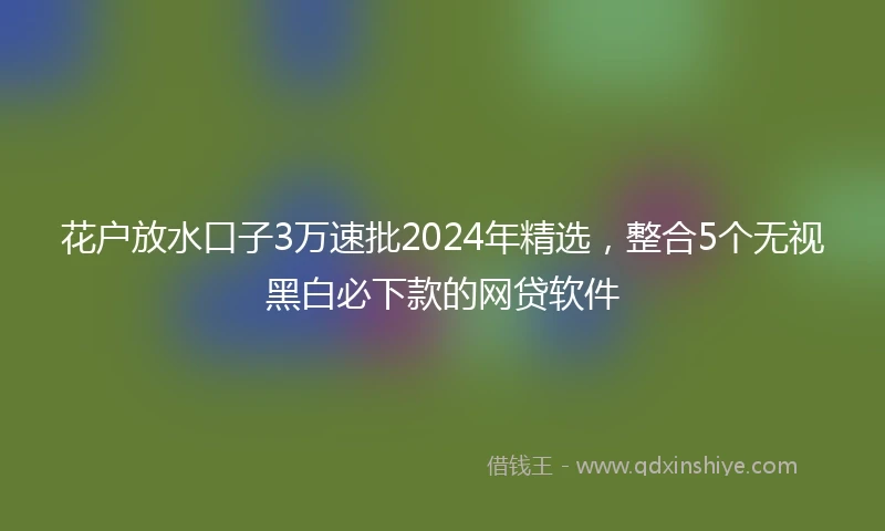 花户放水口子3万速批2024年精选，整合5个无视黑白必下款的网贷软件