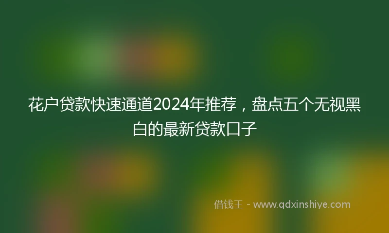 花户贷款快速通道2024年推荐，盘点五个无视黑白的最新贷款口子