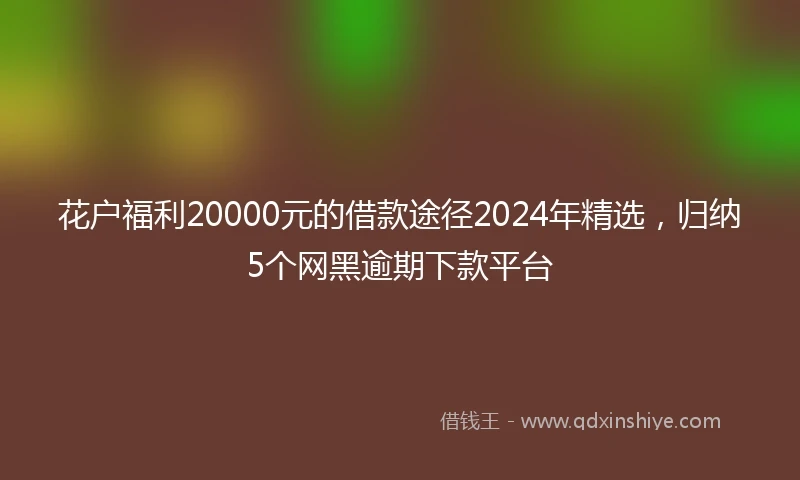 花户福利20000元的借款途径2024年精选，归纳5个网黑逾期下款平台