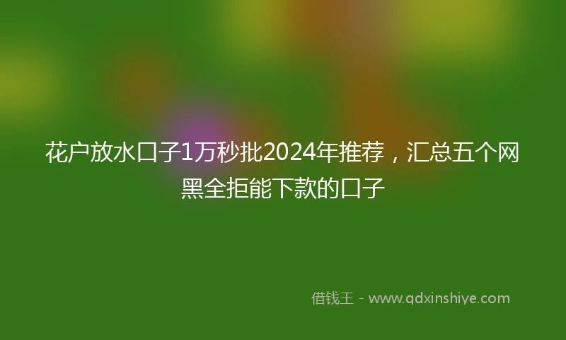 花户放水口子1万秒批2024年推荐，汇总五个网黑全拒能下款的口子