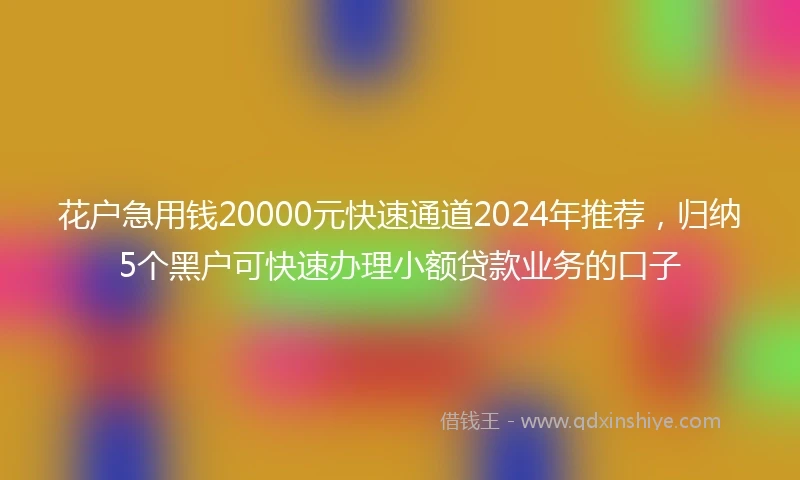 花户急用钱20000元快速通道2024年推荐，归纳5个黑户可快速办理小额贷款业务的口子