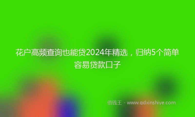 花户高频查询也能贷2024年精选，归纳5个简单容易贷款口子