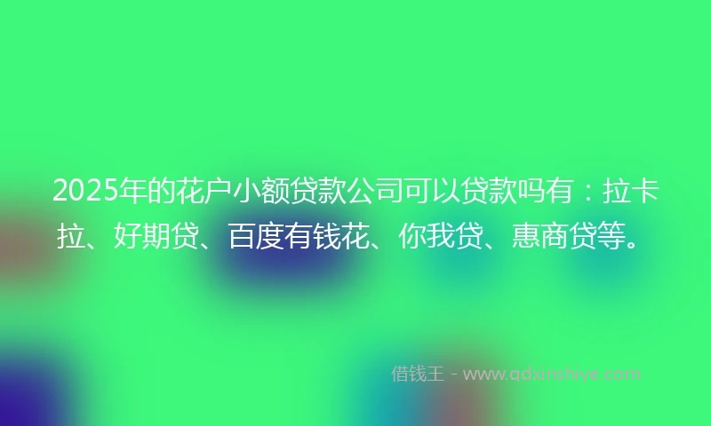 2025年的花户小额贷款公司可以贷款吗有：拉卡拉、好期贷、百度有钱花、你我贷、惠商贷等。