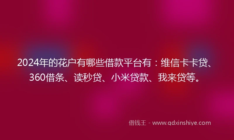 2024年的花户有哪些借款平台有：维信卡卡贷、360借条、读秒贷、小米贷款、我来贷等。