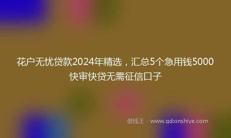 花户无忧贷款2024年精选，汇总5个急用钱5000快审快贷无需征信口子