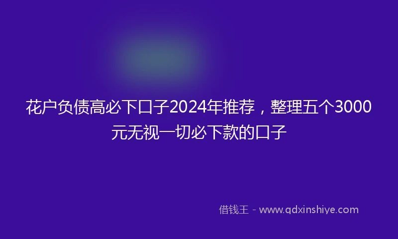 花户负债高必下口子2024年推荐，整理五个3000元无视一切必下款的口子