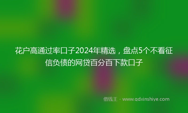 花户高通过率口子2024年精选，盘点5个不看征信负债的网贷百分百下款口子