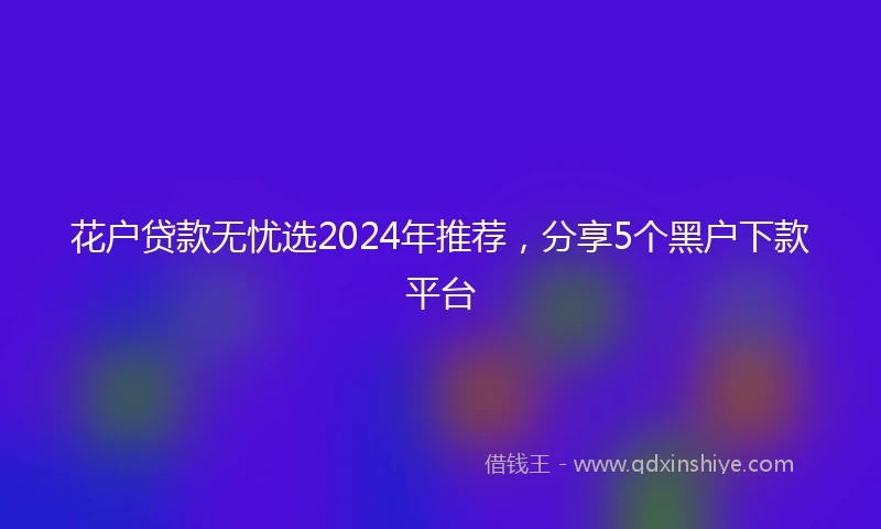 花户贷款无忧选2024年推荐，分享5个黑户下款平台