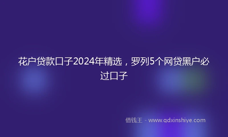 花户贷款口子2024年精选，罗列5个网贷黑户必过口子