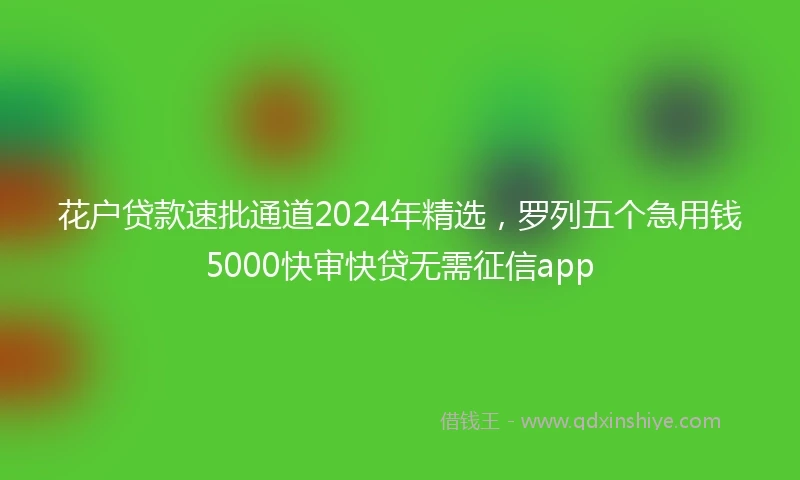 花户贷款速批通道2024年精选，罗列五个急用钱5000快审快贷无需征信app