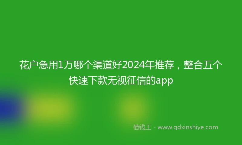 花户急用1万哪个渠道好2024年推荐，整合五个快速下款无视征信的app