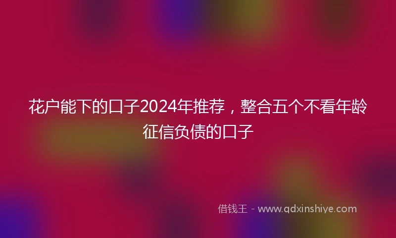 花户能下的口子2024年推荐，整合五个不看年龄征信负债的口子