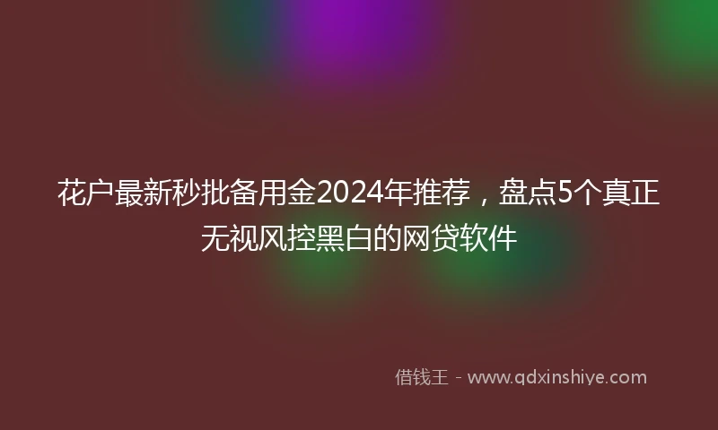 花户最新秒批备用金2024年推荐，盘点5个真正无视风控黑白的网贷软件