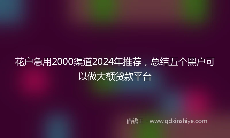 花户急用2000渠道2024年推荐，总结五个黑户可以做大额贷款平台