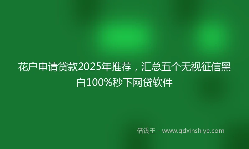 花户申请贷款2025年推荐，汇总五个无视征信黑白100%秒下网贷软件