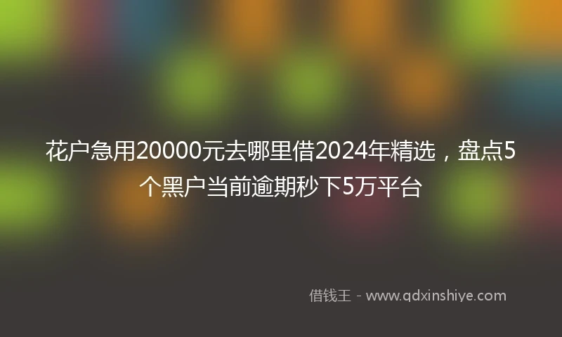 花户急用20000元去哪里借2024年精选，盘点5个黑户当前逾期秒下5万平台