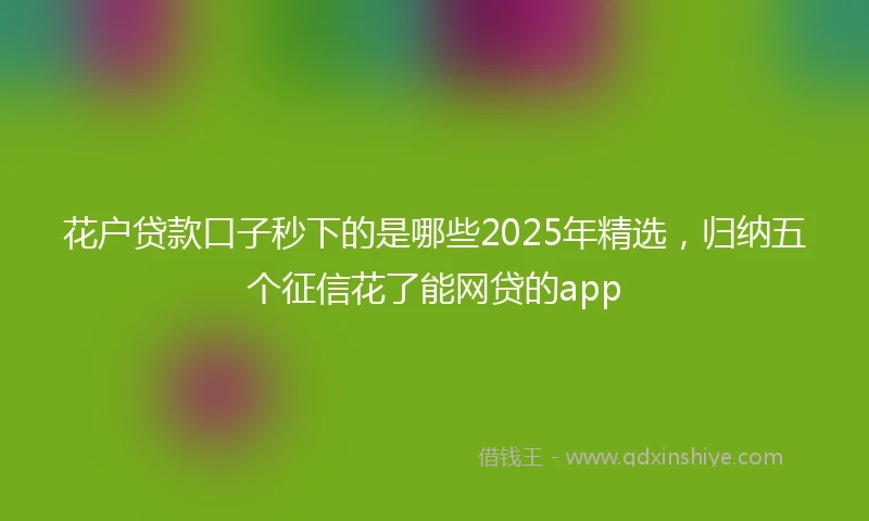 花户贷款口子秒下的是哪些2025年精选，归纳五个征信花了能网贷的app