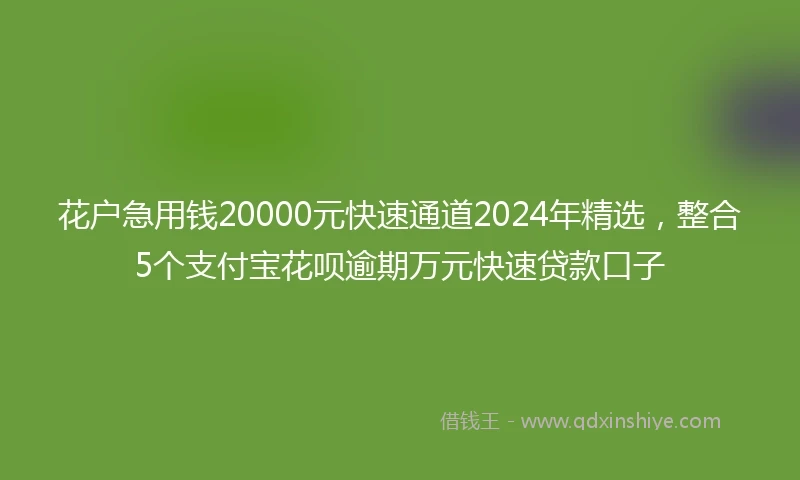 花户急用钱20000元快速通道2024年精选，整合5个支付宝花呗逾期万元快速贷款口子