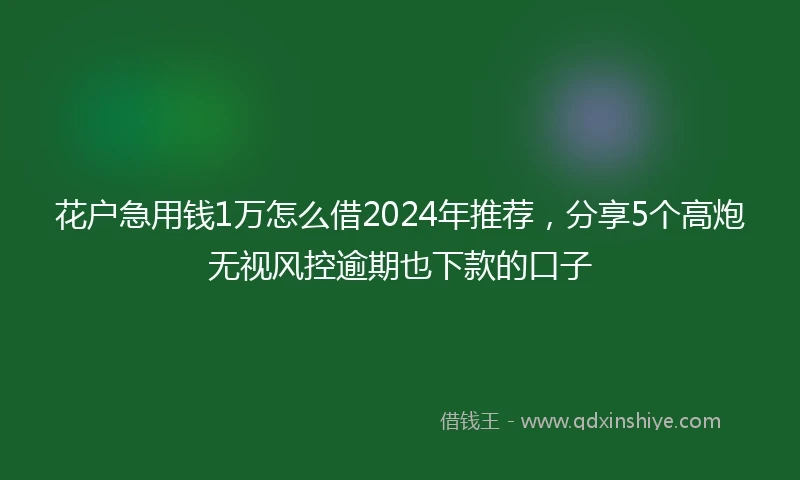 花户急用钱1万怎么借2024年推荐，分享5个高炮无视风控逾期也下款的口子