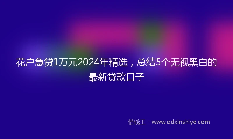 花户急贷1万元2024年精选，总结5个无视黑白的最新贷款口子