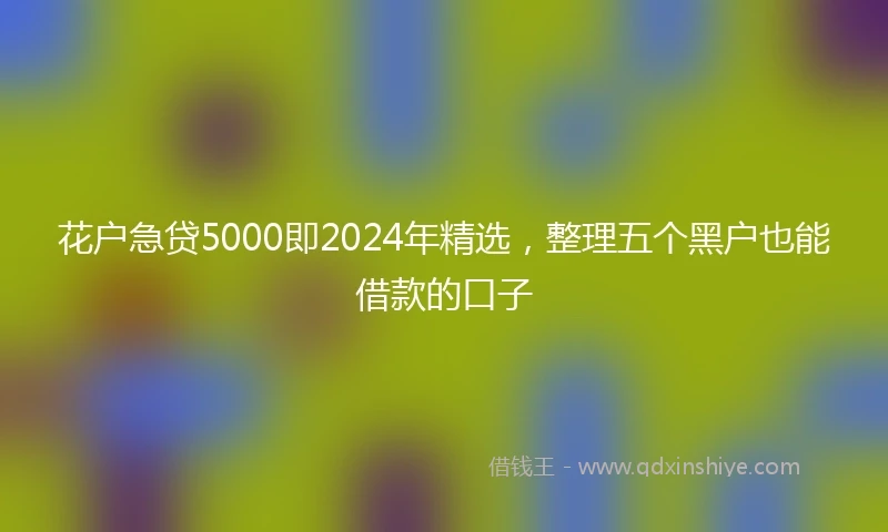 花户急贷5000即2024年精选，整理五个黑户也能借款的口子