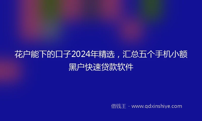 花户能下的口子2024年精选，汇总五个手机小额黑户快速贷款软件