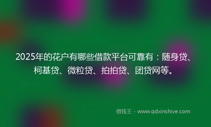 2025年的花户有哪些借款平台可靠有：随身贷、柯基贷、微粒贷、拍拍贷、团贷网等。