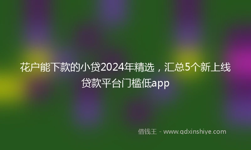 花户能下款的小贷2024年精选，汇总5个新上线贷款平台门槛低app