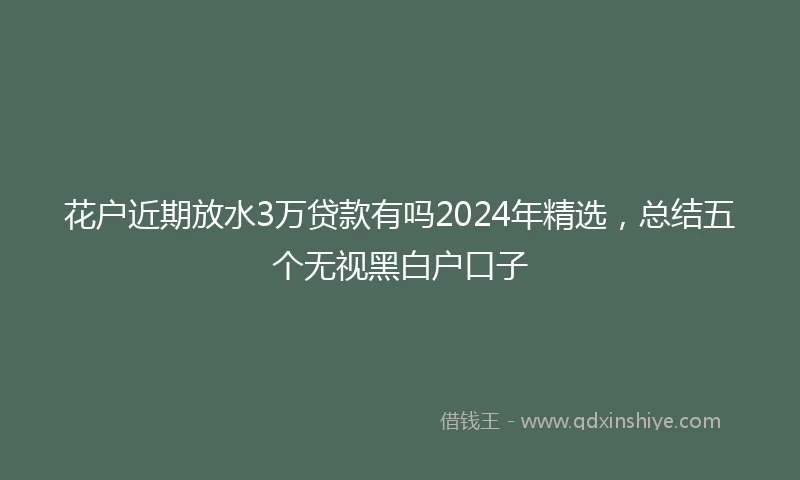 花户近期放水3万贷款有吗2024年精选，总结五个无视黑白户口子