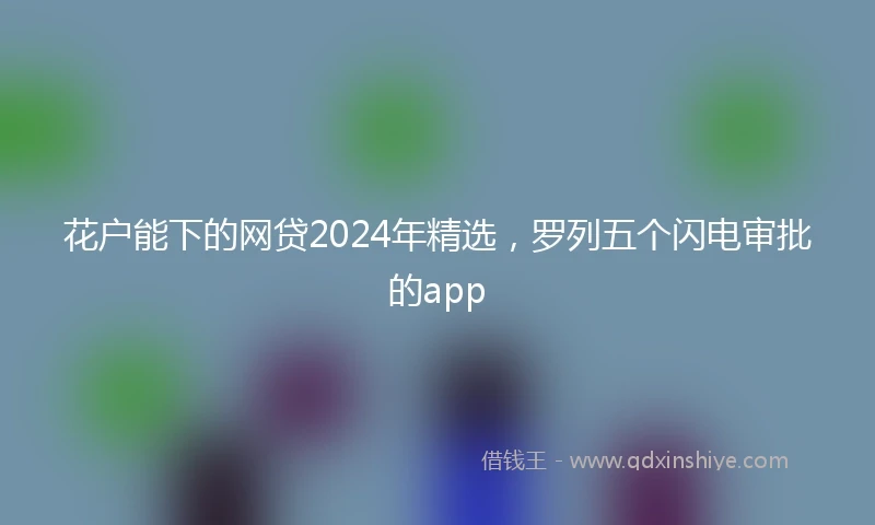 花户能下的网贷2024年精选，罗列五个闪电审批的app