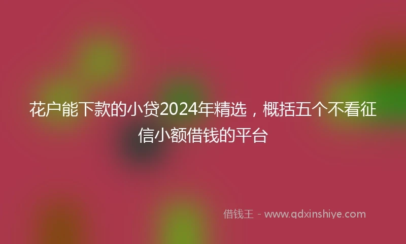 花户能下款的小贷2024年精选，概括五个不看征信小额借钱的平台