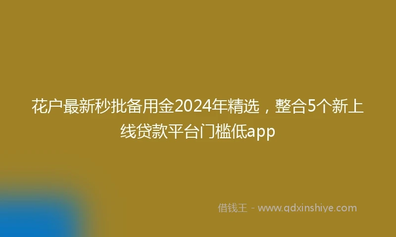 花户最新秒批备用金2024年精选，整合5个新上线贷款平台门槛低app