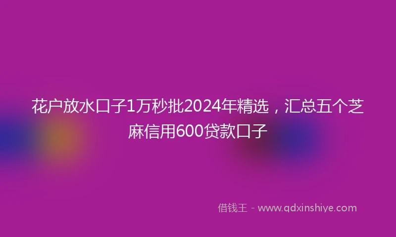 花户放水口子1万秒批2024年精选，汇总五个芝麻信用600贷款口子