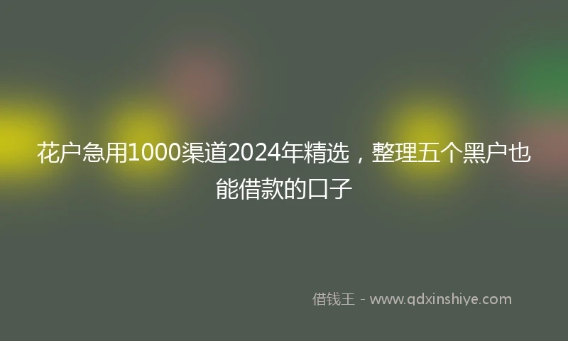 花户急用1000渠道2024年精选，整理五个黑户也能借款的口子