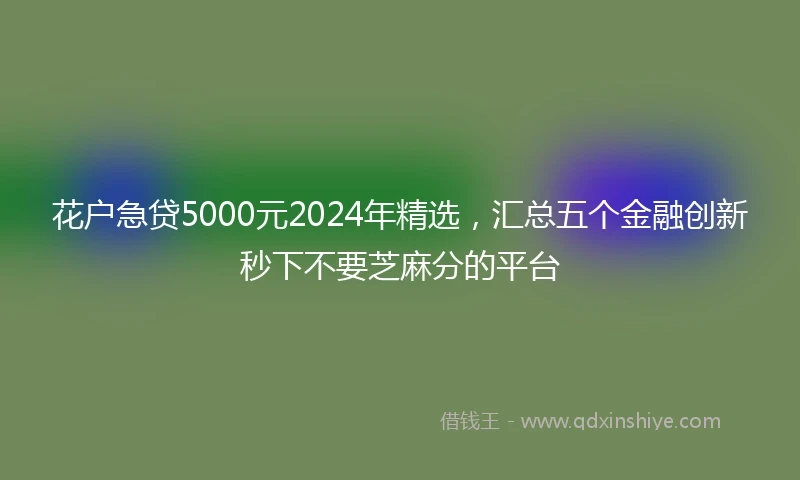 花户急贷5000元2024年精选，汇总五个金融创新秒下不要芝麻分的平台