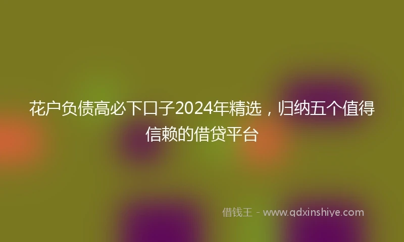 花户负债高必下口子2024年精选，归纳五个值得信赖的借贷平台
